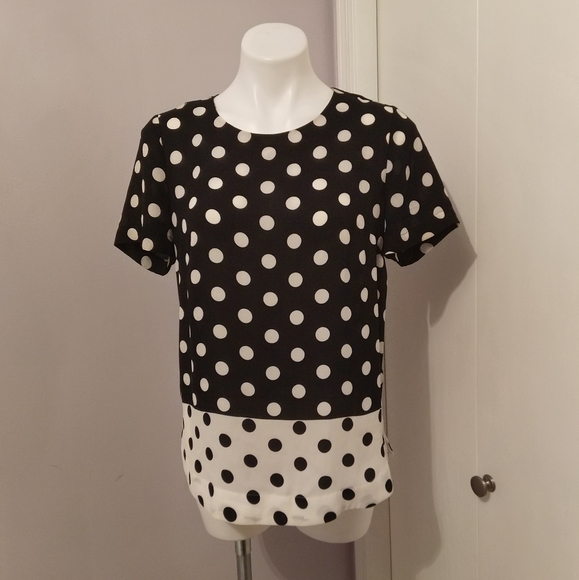 Sheer Polka Dot Black and White Blouse - Picture 1 of 4